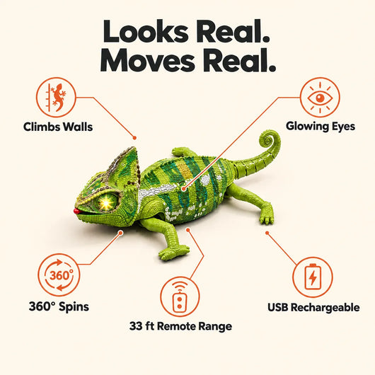 Looks real, moves real: features