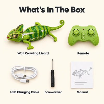 What's in the box