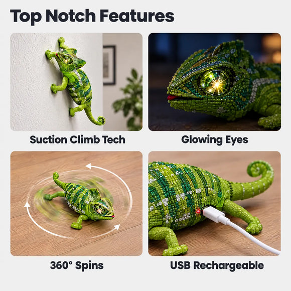 Wall crawling lizard features